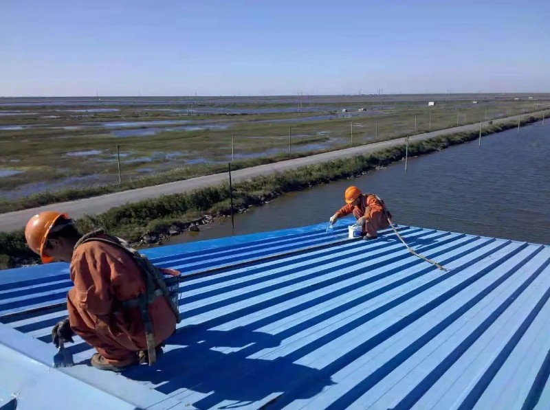 卧龙钢结构屋面漏水原因